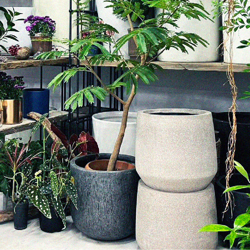 鉢と植物、掘り出しました。